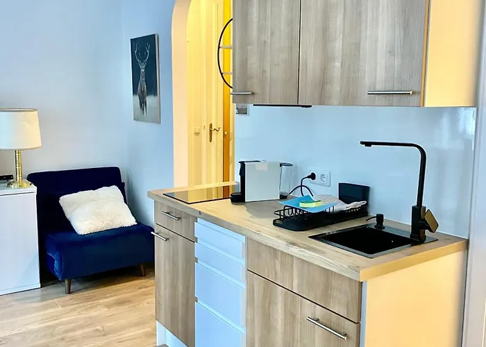 Brandnew - Executive 1 Apartment *